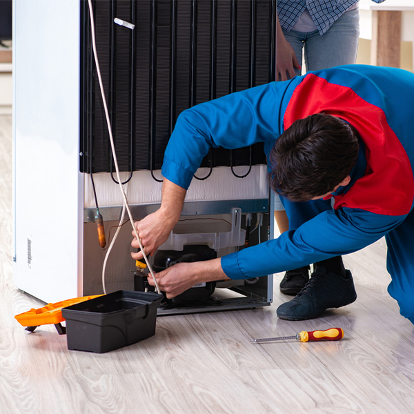 will the repair service cause any damage to my refrigerator in Lopezville Texas